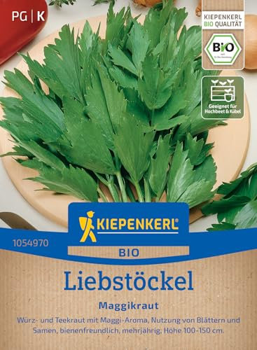 Kiepenkerl Liebstöckelsamen Maggikraut 1054970 – BIO - Würz- und Teekraut - Maggi- Aroma - bienenfreundlich - Pflanzen Samen, Saatscheibe, Kräutersamen
