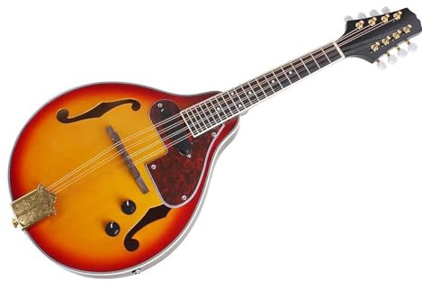 8 String Electric Mandolin Guitar A Style Rosewood Fingerboard Mandolin With Bag Picks Capo