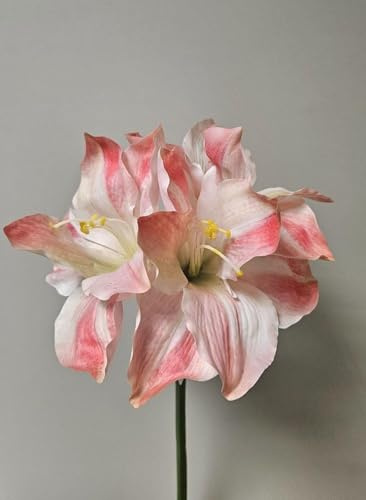 artplants.de Kunstblume Amaryllis SARNUK, weiß-rosa, 80cm | Künstliche Blume
