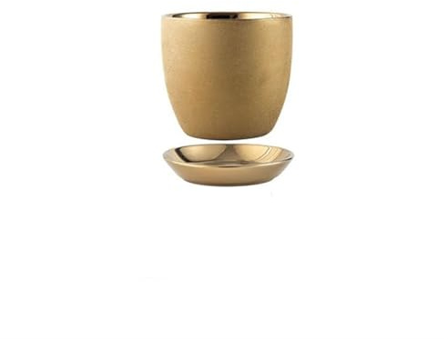 KLLJHB Maceta de cerámica de Lujo con Bandeja para orquídeas Phalaenopsis, Ideal para Sala de Estar, Interior y Exterior (Plateada, Grande) (Dorada S)