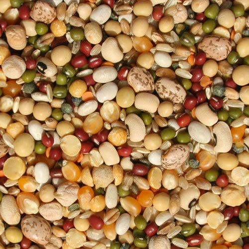 Tidymix Pulse & Rice Soaking Premium Parrot Food (1 kg), Parrot Seed