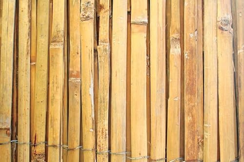 PROREGAL Sichtschutzzaun aus gespaltenem Bambus | Bambus-Sichtschutzmatte | Gartensichtschutz für Garten und Balkon | Höhe 1,5 m | Länge 5 m | Sichtschutz, Balkonabdeckung