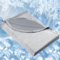 Nigecue Kühldecke 200 x 220cm, Selbstkühlende Sommerdecke mit Arc-Chill Q-Max>0.5, Atmungsaktiv Leichte Bettdecke, 2 in 1 doppelseitig Wohndecke Sofadecke Cooling Blanket zum Schlafen