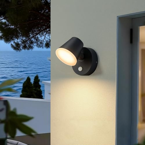 Dandray Outdoor Light Fixture, Wall Lamp Lattern,Motion Sensor 3000K