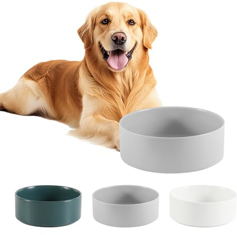 Céramique Gamelle Chien Antidérapante - Bol Chien Croquette et Eau pour Moyen et Grand Modèle - Bol Céramique Antiéclaboussure - 21,5 cm - 750 g / 1750 ML - Gris