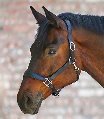 WALDHAUSEN X-Line Lederhalfter Anatomic, WB, schwarz