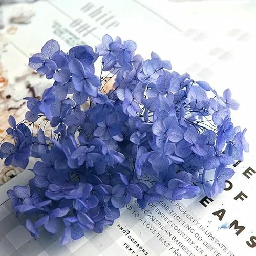 GVEKJ Hortensia Anna, Flores, Hojas pequeñas, Hortensia preservada, decoración para el hogar y la Oficina, Material de Bricolaje, Resina epoxi, Flores Hechas a Mano, Color 123, 10 g