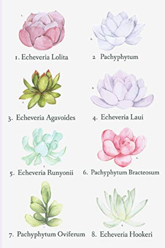 Succulent Garden Notebook: Scientific Names for Succulents, Great Gift for Plant Lovers. 6x9 Notebook/Journal. 120 Pages