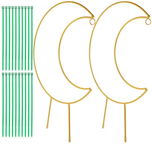 Happyyami 1set Trellis per Rampicanti per e Appartamento Resistente e Facile Installare Dimensioni Colore Include