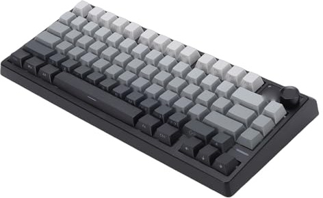 Plyisty Clavier de Jeu Mécanique, Mode sans Fil 3 avec Commutateurs Détachables et 20 Effets D'éclairage pour PC Mac iOS, Touches Dégradées de Batterie 4000 MAh (Noir Gris)