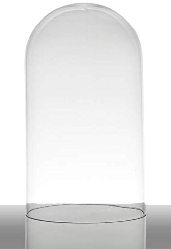 INNA-Glas Glashaube - Glasglocke Adelina, Zylinder - Rund, klar, 28cm, Ø 16.5cm - Zylinderglas - Glas Kuppel