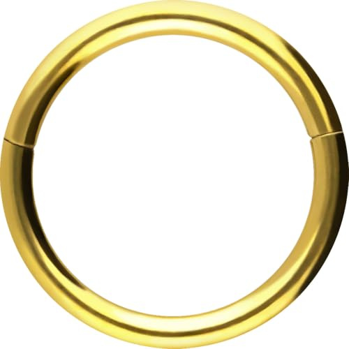 PIERCINGLINE Segmentring Clicker aus Chirurgenstahl - Piercing Ring in Gold, Silber, Rose, Schwarz oder Blau - für Nase, Septum, Ohr, Helix oder Tragus