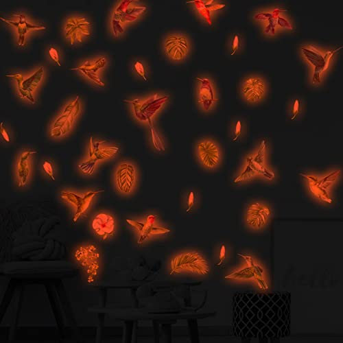 Wandtattoo Kinderzimmer Tropischer Kolibri Leuchtsterne Kinderzimmer Wandsticker Wandsticker Kinderzimmer Glow in the Dark Wandtattoo Kinderzimmer Mädchen Junge für Wanddeko Geschenke