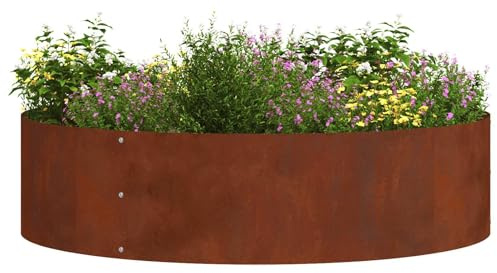 vidaXL Anneau de jardinière Rouillé 80 x 80 x 20 cm Acier patiné | Vent de vintage avec sa finition texturée, Idéal pour donner vie à vos espaces extérieurs,