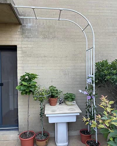 Arche de jardin pour plantes grimpantes, treillis en métal, 90 x 240 x 40 cm, 200 x 267 x 50 cm, 350 x 267 x 50 cm, pergola d'extérieur robuste, noir/blanc, idéale pour les roses, les vignes et les