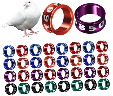 BELLIFFY 50 Stück Metall Vogelfußringe Geschlossene Tauben Ringe Für Hühner Papageien Kanarienvögel Bunte Vogelbeinbänder Einfach Zu Verwenden Zufällige Farbe Zufällige Farbe