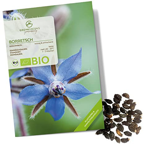 BIO Borretsch Samen - Küchenkräuter Saatgut aus biologischem Anbau ideal für den heimischen Kräutergarten, Balkon & Garten (40 Korn)
