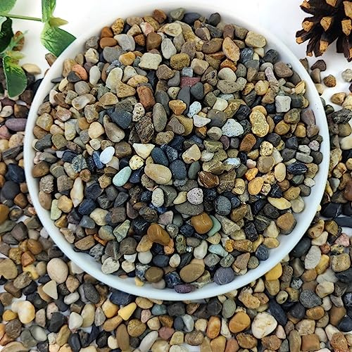 YISZM 10lbs Natural River Rocks, 1/4 Aquarium Gravel Small Rocks for Plants Pea Gravel for Fish Tank, Decorative Pebbles for Gardening, Flower Pots, Vase Fillers, Indoor Water Fountains, Landscaping