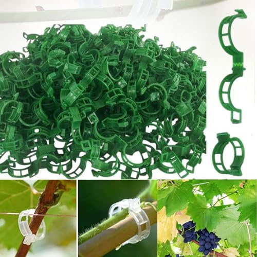 150Stk Pflanzenklammern Tomaten Rankhilfe, Pflanzenclips Kletterhilfe Pflanzen, Kunststoff Tomatenklammern für Kletterpflanzen,Blumen klammern für Gemüse Tomate Pflanzen Befestigung (150Stk Grün)