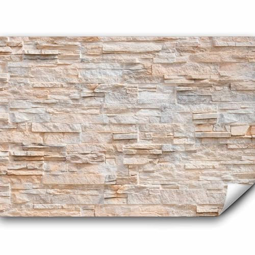 murando - Papier peint panoramique artistique 400x280 cm - Revêtement mural décoration salon - Design moderne - Gris marron beige - Architecture pierre beige fond de texture moderne f-B-0018-a-b