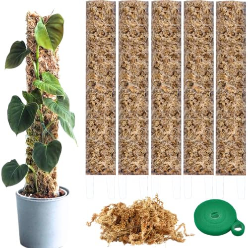 Moosstab für Monstera Rankhilfe Zimmerpflanzen Zubehör Set - 5 x Pflanzstäbe, Pflanzen Klettband & Moos - Optimiert für Aroiden - Kletterpflanzen Befestigung - 35 x 6 cm - Set