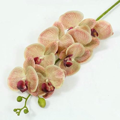 GVEKJ 1 stelo artificiale in lattice Real Touch, orchidea falena, orchidea farfalla, fiore per la nuova casa, decorazione per matrimoni e festival F472-tipo L giallo rosa