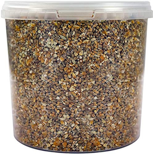 SQUAWK Mixed Poultry Corn | Premium Quality Natural Seed Feed Mixture | Rich in Vitamins and Calcium | Chicken Duck Geese Food | Helps Develop Strong Beaks, Tough Bones & Healthy Feathers (5L Tub)