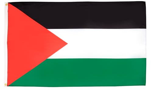 AZ FLAG - Set di 2 bandiere palestinesi – 90 x 60 cm – Bandiera palestinese 100% poliestere con occhielli metallici incorporati