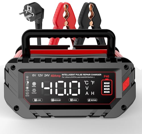 40A Autobatterie Ladegerät, 6V/12V/24V LiFePO4 Ladegerät, Batterieladegerät KFZ für Auto, Motorrad, Rasenmäher, Boot, Lithium, LiFePO4 und Blei-Säure(AGM, Gel, MF, EFB, SLA, VRLA, Wet)