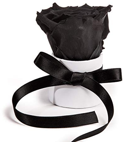 ROSEMARIE SCHULZ Heidelberg Kleine Rosenbox weiß rund Infinity Rose - Blumenbox 1 konservierte Rose (Weiß-Schwarz)