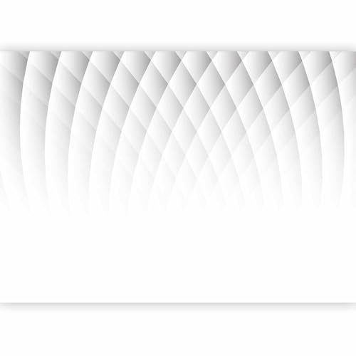 murando PREMIUM Fotomurales 3d Efecto 300x210 cm Papel pintado tejido no tejido Decoración de Pared decorativos Murales moderna de Diseno Fotográfico Pasillo Oficina Abstracto a-B-0013-a-a