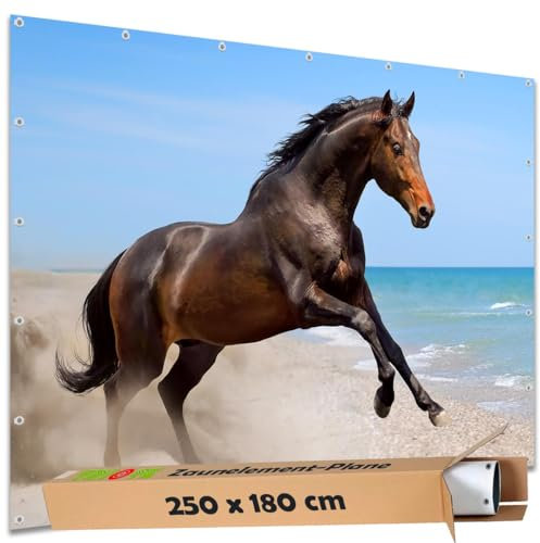 TRIOSK Sichtschutz Garten Deko Zaun Plane Blickdicht groß mit Zaunblende Motiv Meer Pferd am Strand für Zaunelement Doppelstabmatten Stabmattenzaun Gartenzaun PVC 250x180 cm