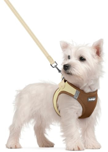 rabbitgoo Hundegeschirr Kleine Hunde mit Leine Step-in, Braun & Beige, S | Einfach anzulegen, Atmungsaktiv, Weiches Mesh & Reflektierend, Sicherheitsverschluss mit 1,5m Leine für Kleine Hunde