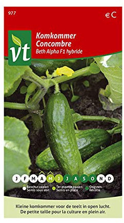Concombre Beth Alpha F1 hybride Graines - Un savoureux mini-concombre