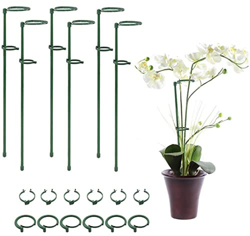 Dirfuny Amaryllis-Stäbe für Topfpflanzen | Verstellbare 6/12er-Pack Blumenstütze für einzelne Pflanzenstiel - Garten-Blumen-Stützpfähle mit Pflanzen-Clips für Blumen, Orchideen, Pfingstrosen, Lilien