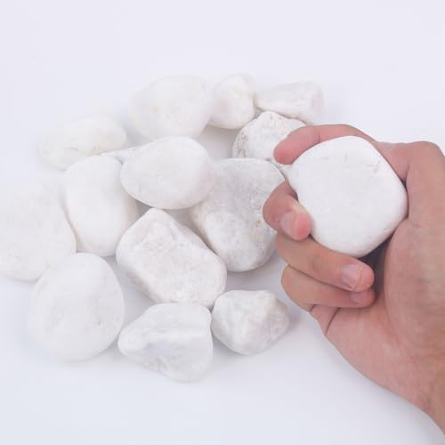 Rocas blancas de río para plantas, piedras pulidas para paisajismo de jardín, macetas, acuarios, rellenos de jarrones, decoración interior y exterior de 2 libras
