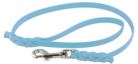 LENNIE BioThane Führleine, 13mm breit, 2m lang, Cyan/Türkis, mit Handschlaufe, geflochten