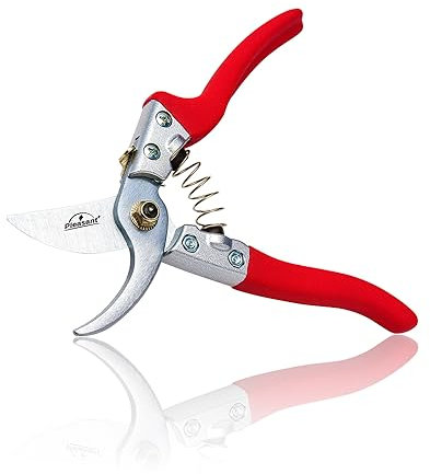 Pleasant Plus Cesoie da Potatura, Forbici da Potatura, Cesoie da Giardinaggio, per Giardino, Bonsai, Fiori, Piante, Bambù, Frutta, Rami d'Albero, Vigneti, Lama in Acciaio SK5,