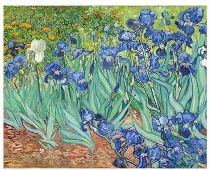 Vincent Van Gogh Wandkunst-Poster, violette Iris-Garten-Druck-Poster, Impressionismus, berühmte Ölgemälde-Reproduktion, Blumenpflanze, natürliche Leinwand, Kunstdrucke, Dekoration für Wohnzimmer oder
