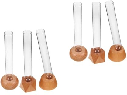 ABOOFAN 6 Pièces Vase en Verre hydroponique Vase Tubes à essai en Verre Tubes à essai Transparents pour Plantes en Beige