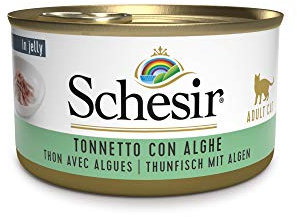 Schesir Cat Jelly Thunfisch mit Alge, Katzenfutter nass in Gelee, 24 Dosen x 85 g