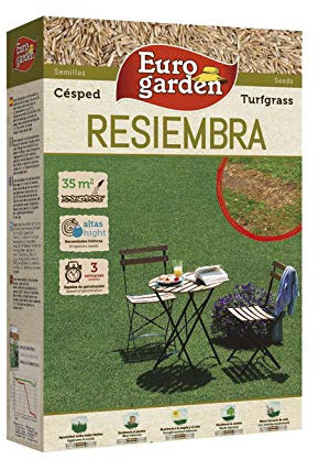 Eurogarden - Sobre de Semillas de Césped Resiembra, 1 kg - 4457