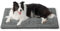 BEDSURE Hundematte für Große Hunde - 89x58 cm Hundekissen mit Rutschfester Unterseite, Waschbare Hundematratze für mittelgroße Große Hunde, grau