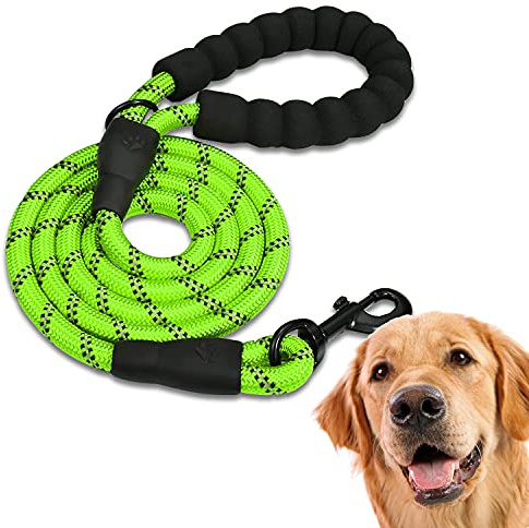 EDIPETS, Laisse Chien, Laisse de Dressage pour Chien, Rembourrée, Poignée Souple, Corde pour Chiots et Petits, Moyens et Grands Chiens, 1,2 et 1,5 mètres. (1.5 M, Vert)