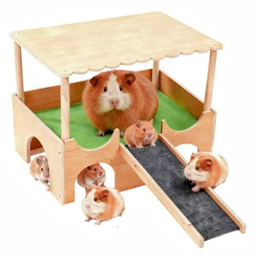 CeyKvo Casa per piccoli animali a due piani con tetto, scale e morbido cuscino, adatta per porcellini d'India, criceti, conigli e cincillà (verde)