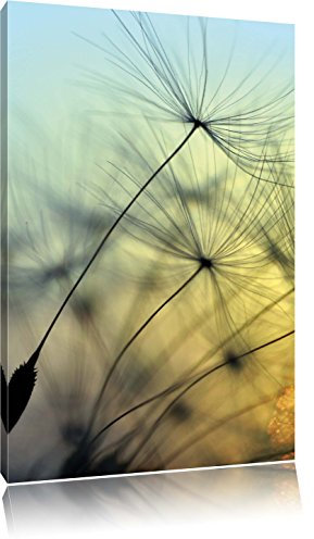 Pixxprint Pusteblumen mit Tautropfen, Größe: 60x40cm, Leinwandbild, fertig gespannt, Wandbild, Dekoration, Kunstdruck, kein Poster
