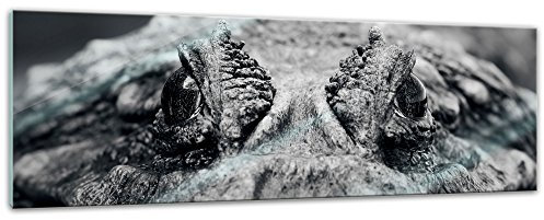 Bilderdepot24 Glasbild - Krokodil - 120 x 40 cm - Deko Glas - Wandbild aus Glas - Bild auf Glas - Moderne Glasbilder - Glasfoto - Echtglas - kein Acryl - Handmade