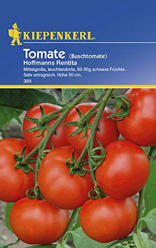 Tomatensamen - Tomate Hofmanns Rentita von Kiepenkerl