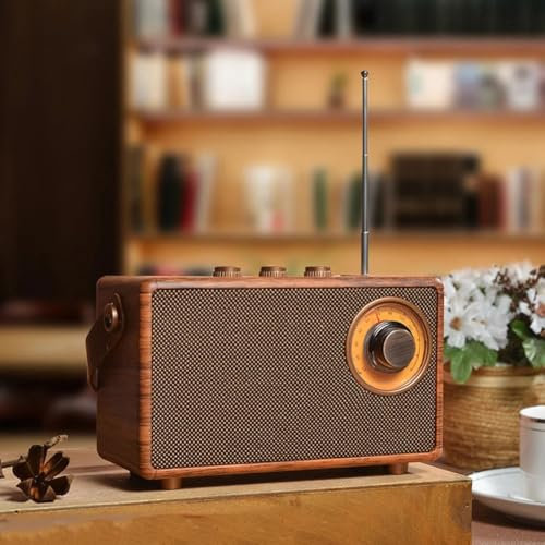 Radio retrò BT Speaker Compatibile 5.1 Connettività, Vintage Radio FM, Altoparlante da tavolo wireless portatile, Mini altoparlante di inserimento scheda