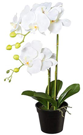 Kunstblumen PHALENOPSIS ca 55 cm weiß, Weiss (Orchidee) im schwarzen Kunststofftopf 13 cm. Art.: 1017053-40